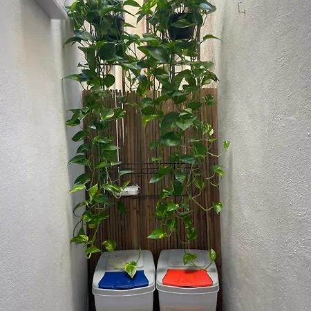 Via Amsicora * אולביה